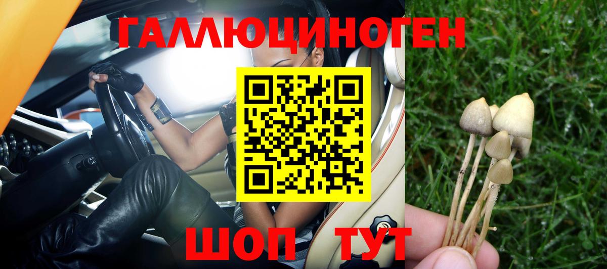 Галлюциногенные грибы мухоморы  Галлюциногенные грибы Psilocybine cubensis  Муравленко  Вход с VPN 